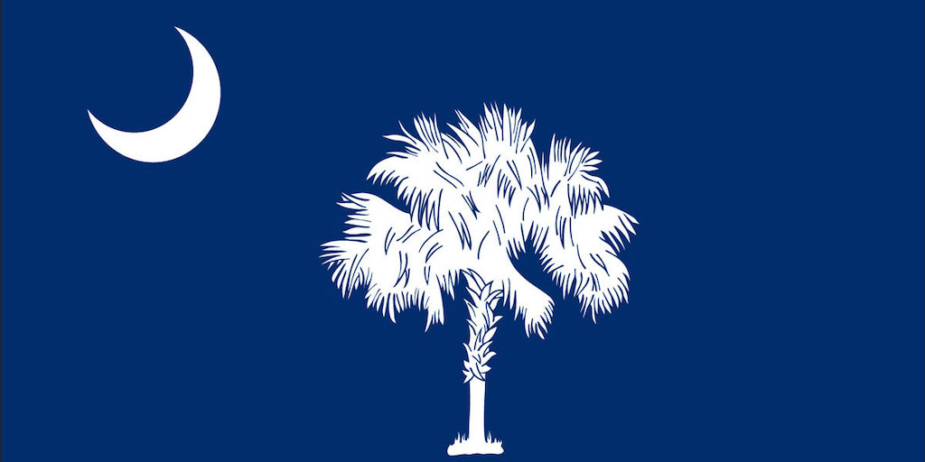 South Carolina state flag with a tree and the moon